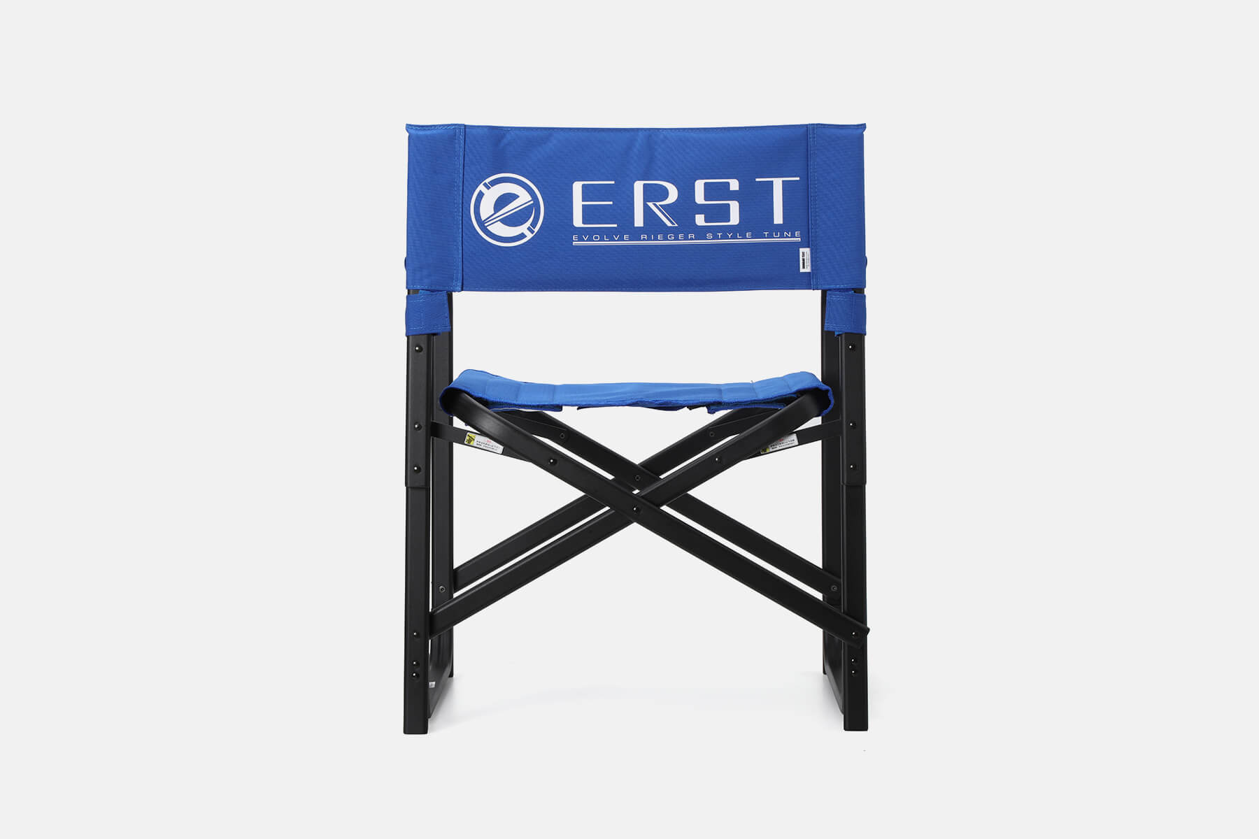 ERST Director-Chair